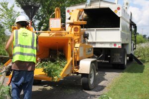 tree grinding equipment