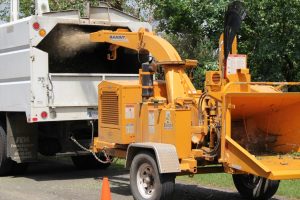 stump grinding