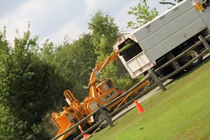 tree grinding