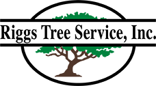 Riggs Tree Service, Inc Logo
