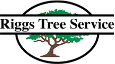 Riggs Tree Service, Inc Logo